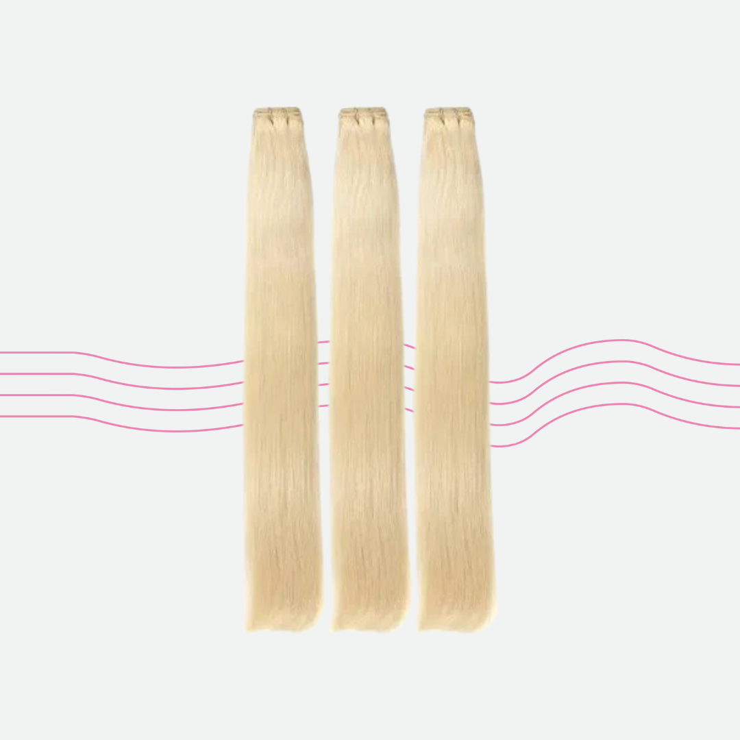 Burmese 613 Blonde