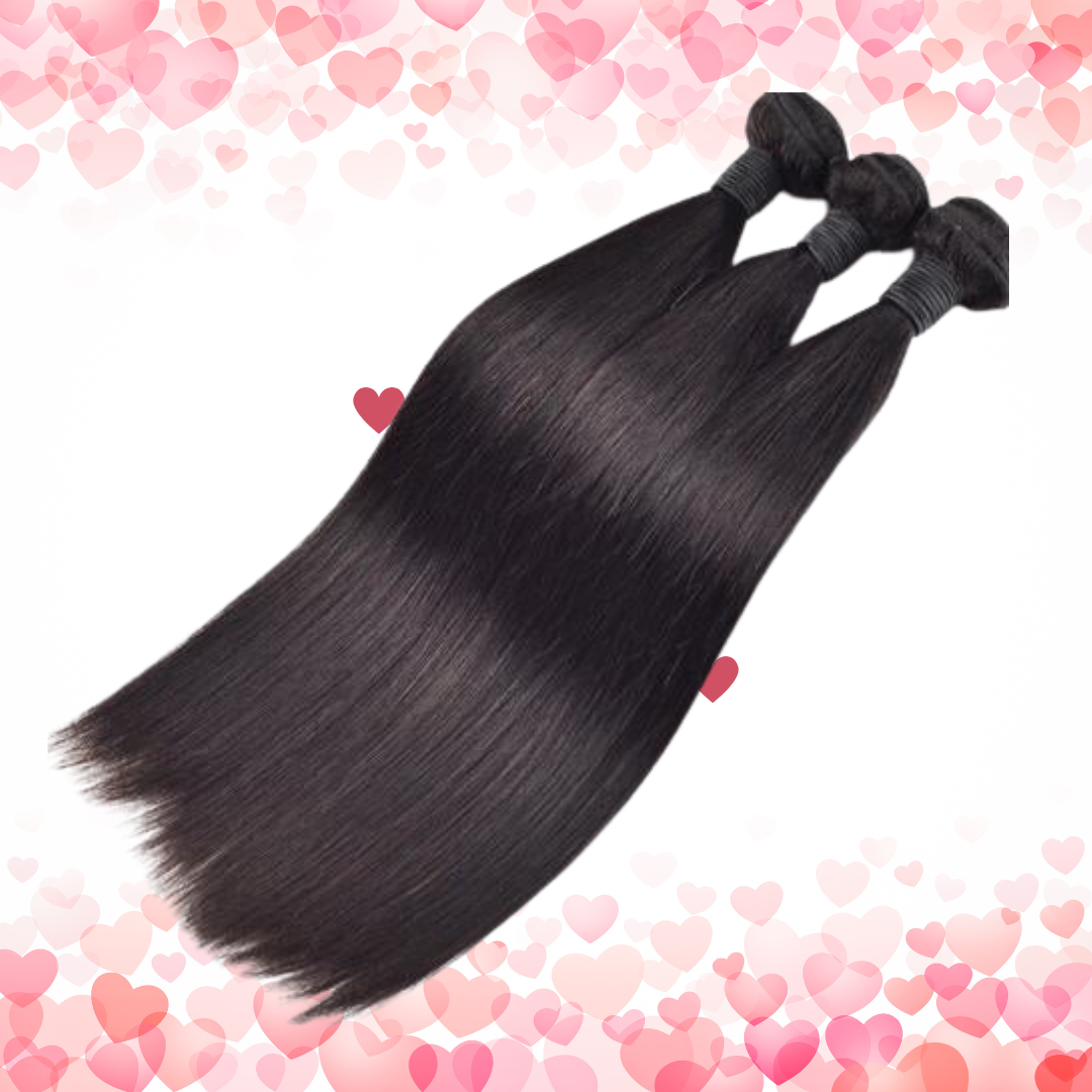 Burmese Bundle Deals
