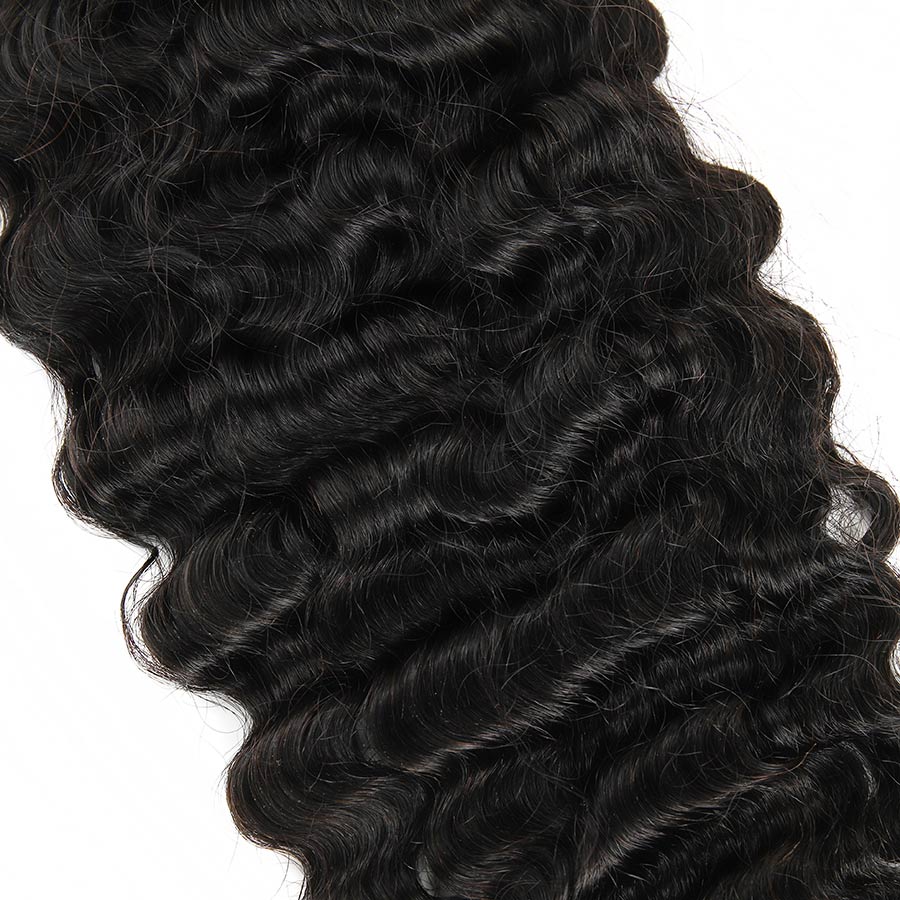 Burmese Bundle Deals