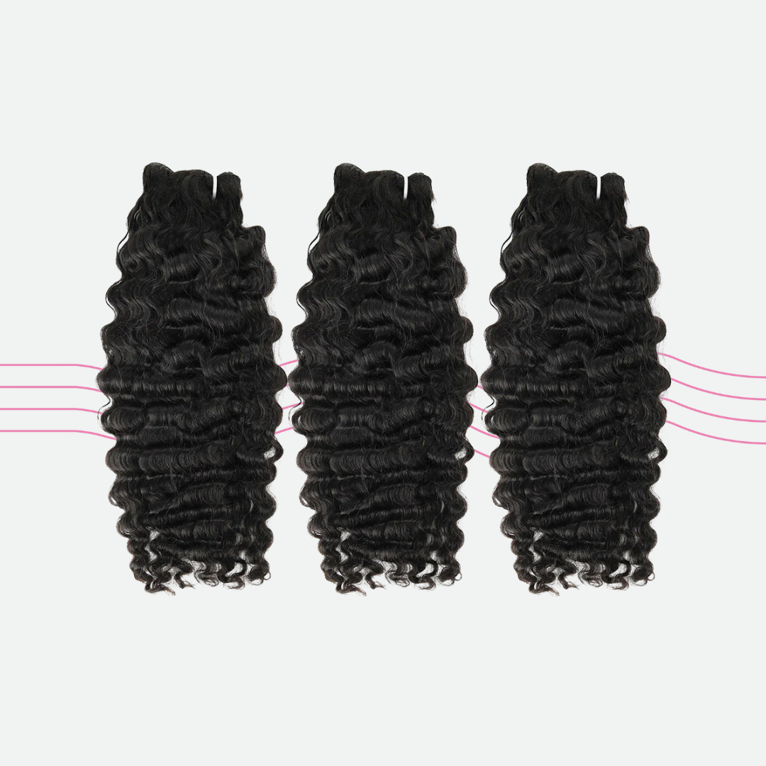 Burmese Exotic Curl